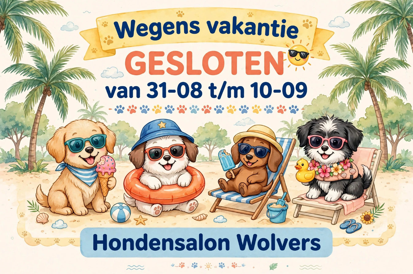 Vacation