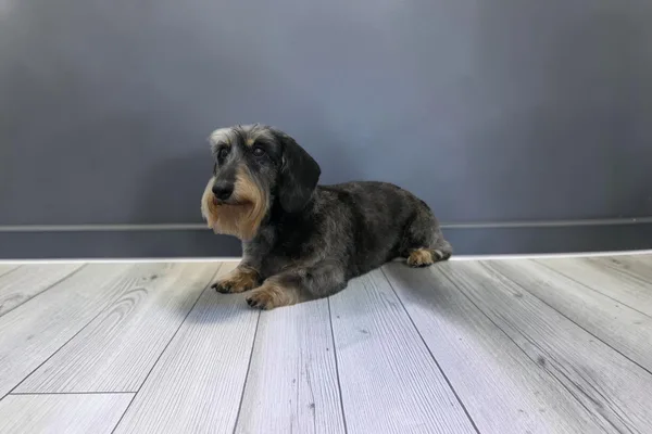 De Modellen, foto 8